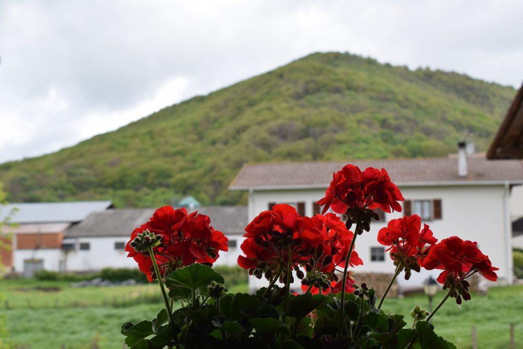 Monte Arañotz en Ultzama