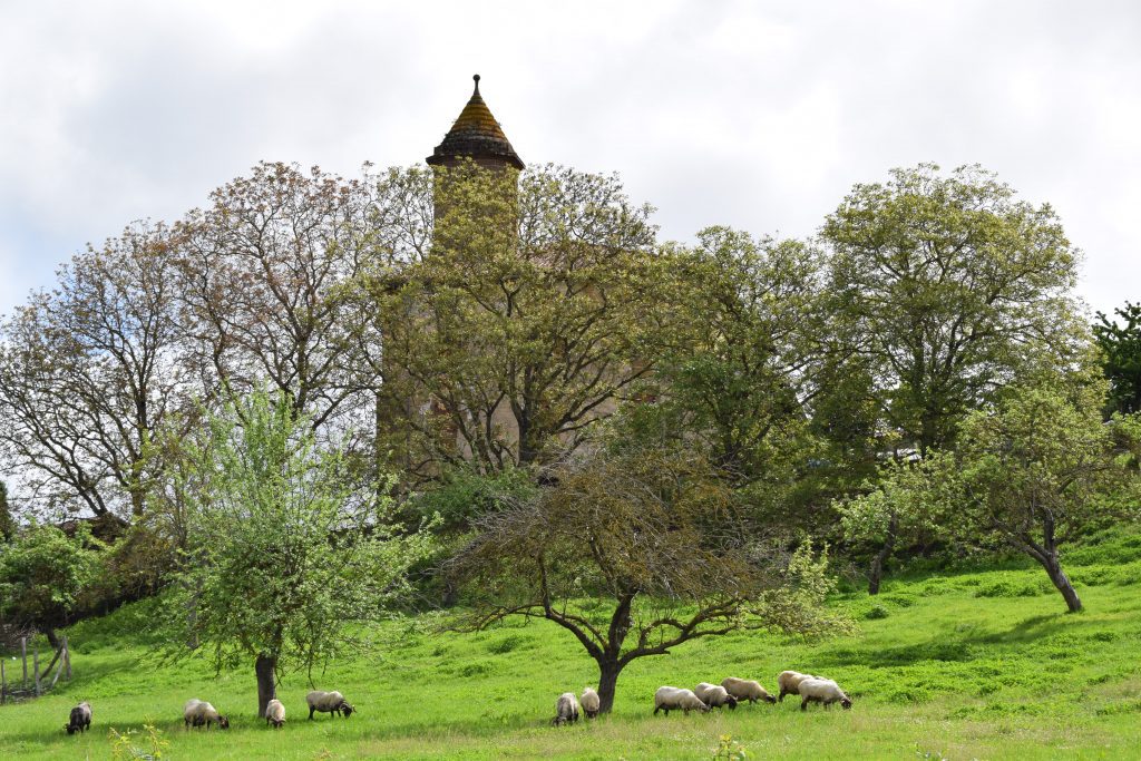 Iraizotz Valle de Ultzama